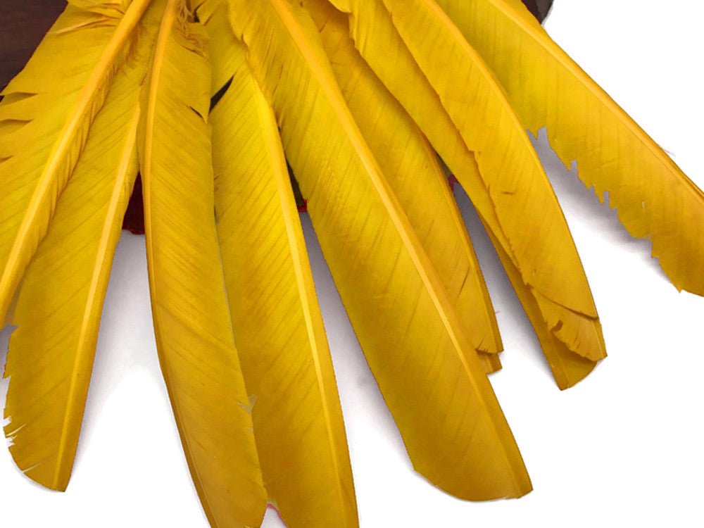 1/4 Lb - Gold Turkey Pointers Quill Large Wholesale Feathers (Bulk)