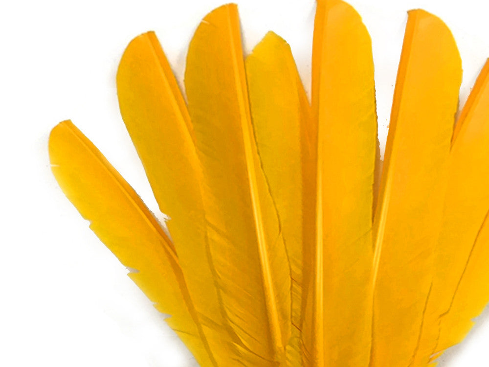 1/4 Lb - Gold Turkey Pointers Quill Large Wholesale Feathers (Bulk)