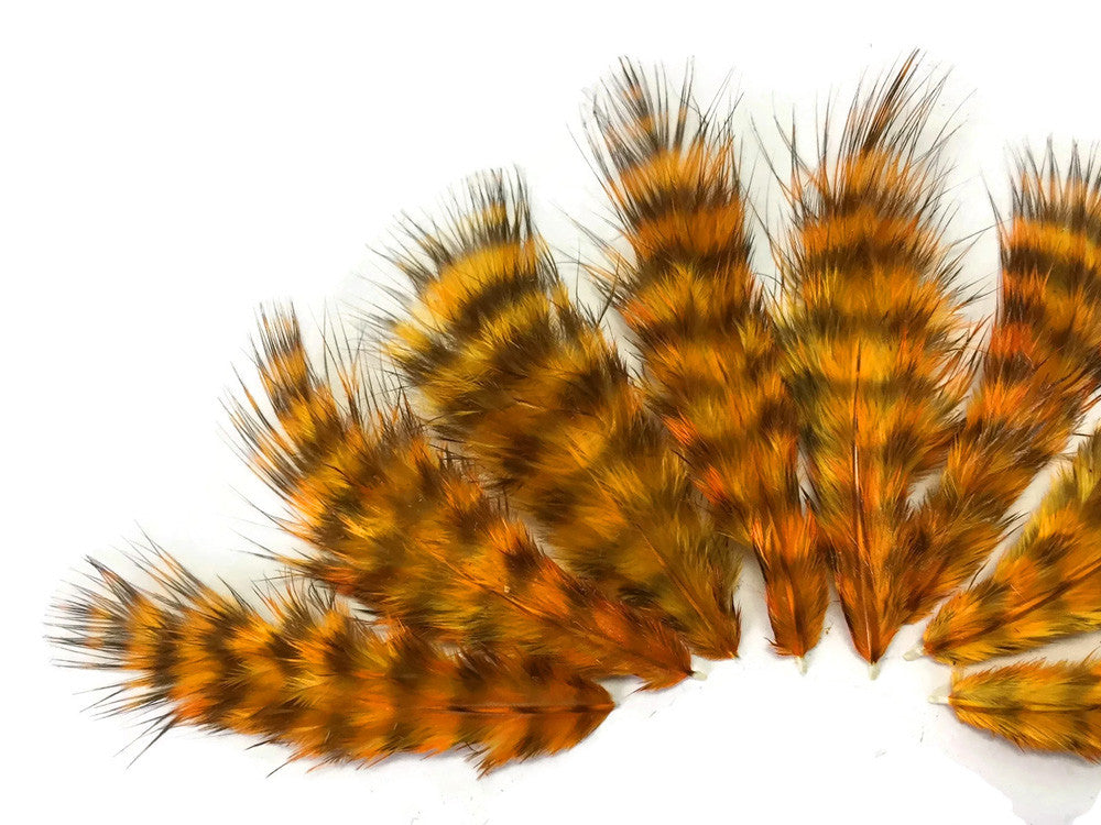 1 Dozen - Golden Yellow Grizzly Mini Rooster Chickabou Fluff Whiting Hair Feathers