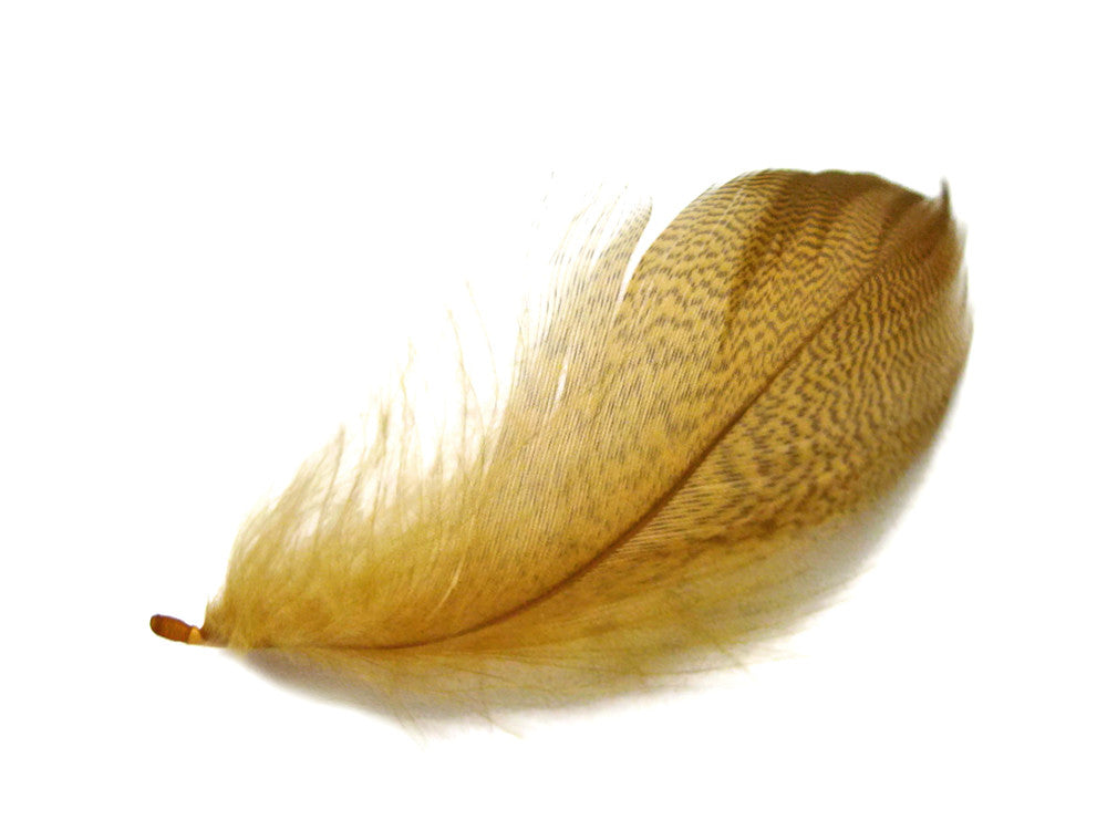 1 Pack - Gold Mallard Duck Flank Plumage Feathers 0.10 Oz.