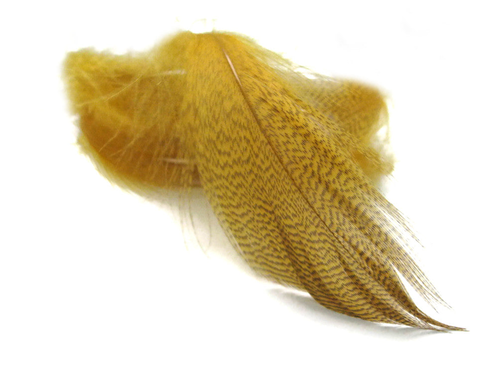 1 Pack - Gold Mallard Duck Flank Plumage Feathers 0.10 Oz.