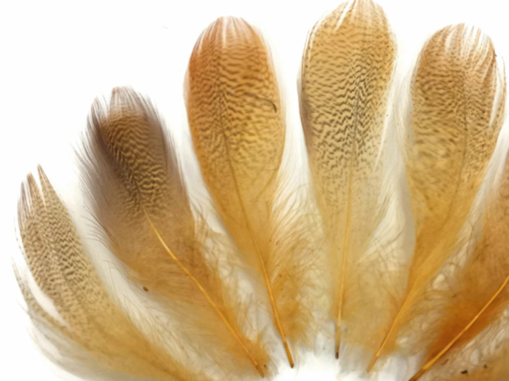 1 Pack - Gold Mallard Duck Flank Plumage Feathers 0.10 Oz.