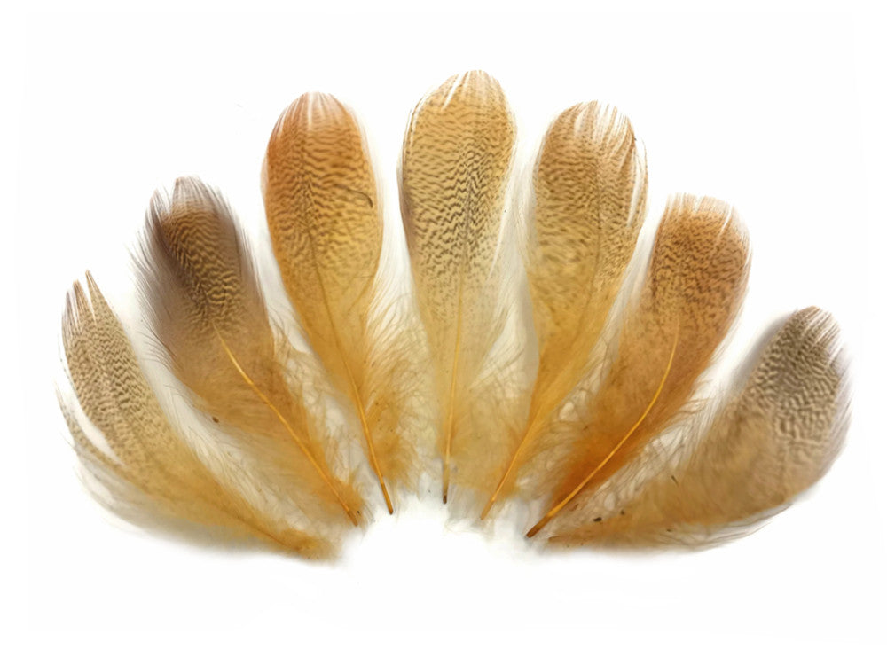 1 Pack - Gold Mallard Duck Flank Plumage Feathers 0.10 Oz.