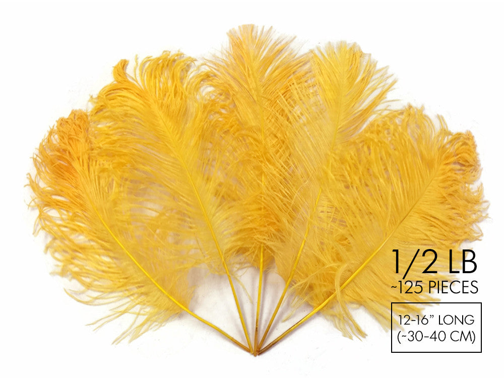 1/2 Lb - 12-16" Golden Yellow Ostrich Tail Wholesale Fancy Feathers (Bulk)