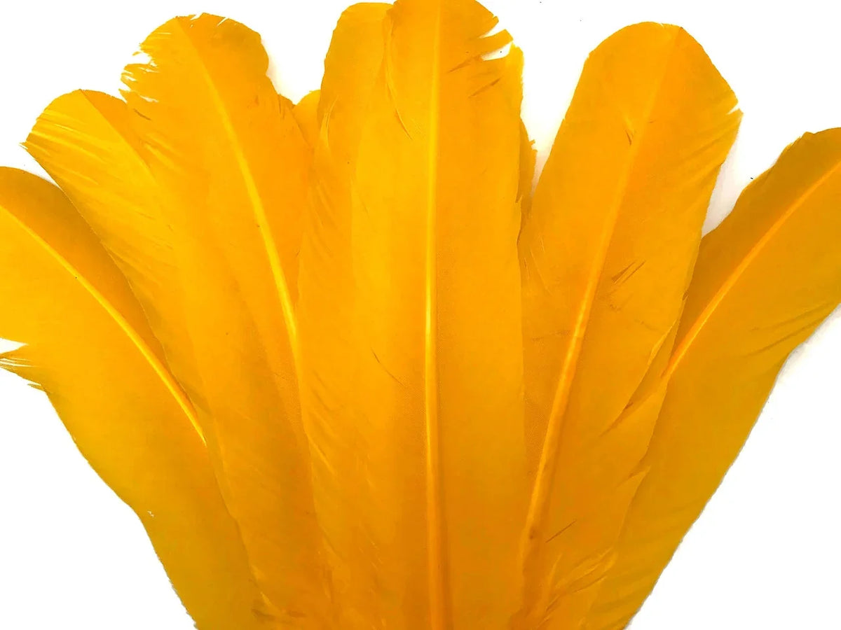 Vibrant yellow feathers arranged in a fan shape for crafts and fashion DIY projects.