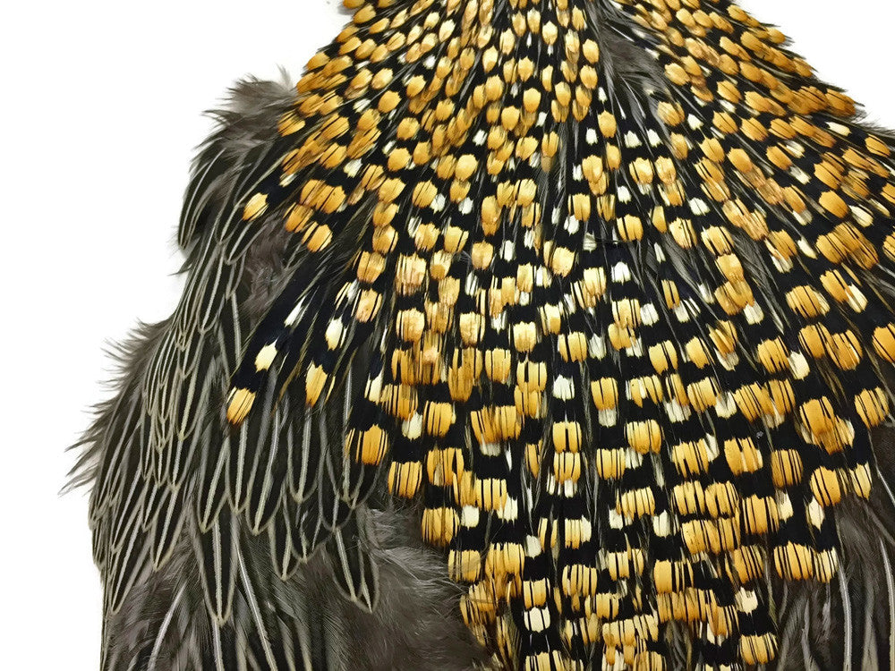 1 Piece - Grade A Natural Gold Jungle Cock Cape Complete Skin Pelt With Feather (bulk)