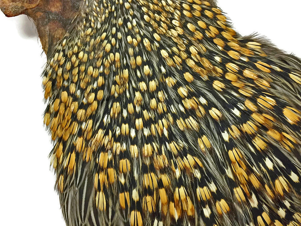 1 Piece - Grade B Natural Gold Jungle Cock Cape Complete Skin Pelt With Feather (bulk)