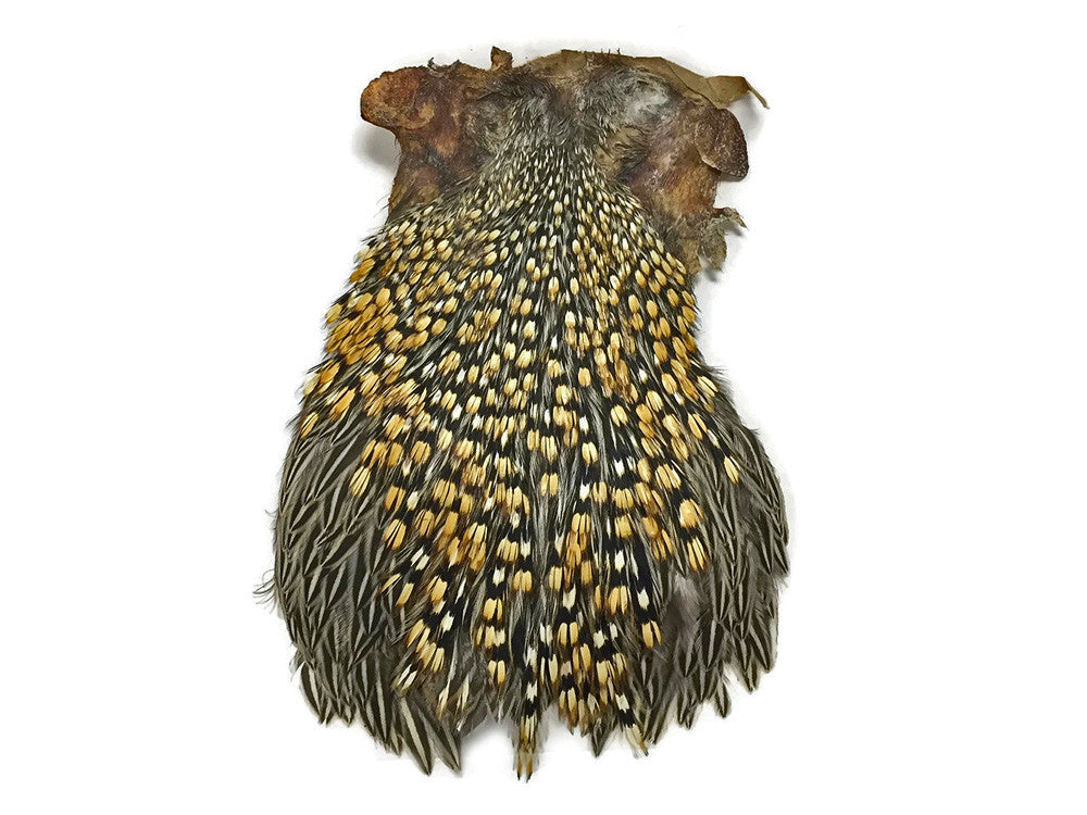 1 Piece - Grade B Natural Gold Jungle Cock Cape Complete Skin Pelt With Feather (bulk)