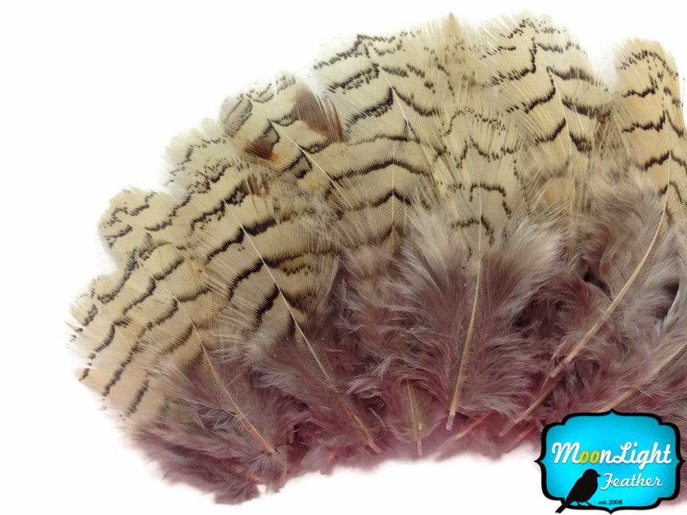 10 Pieces - Natural Gray Partridge Small Plumage Feathers