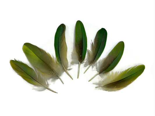 4 Pieces - Mini Natural Green Amazon Parrot Wing Feather