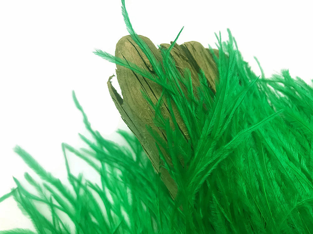 6 Inch Strip - Kelly Green Ostrich Fringe Trim Feather