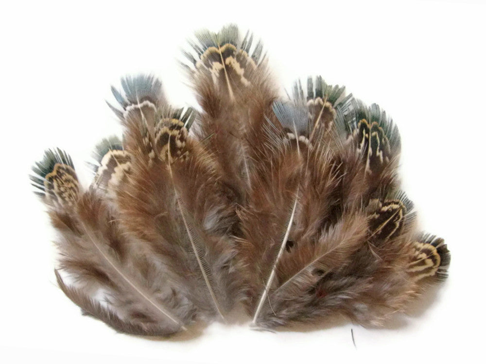 1 Pack - Natural Green Almonds Ringneck Pheasant Plumage Feathers 0.10 Oz.