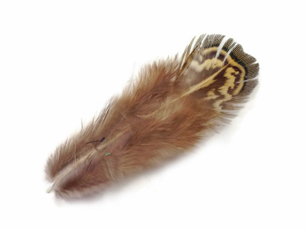 1/8 lbs. - Natural Green Almonds Ringneck Pheasant Plumage Wholesale Feathers (Bulk)