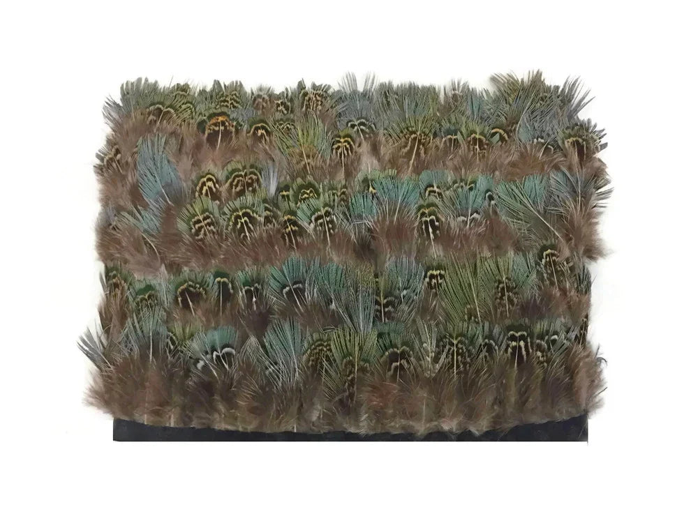 Natural brown and teal patterned feathers for DIY crafts and fashion decor.