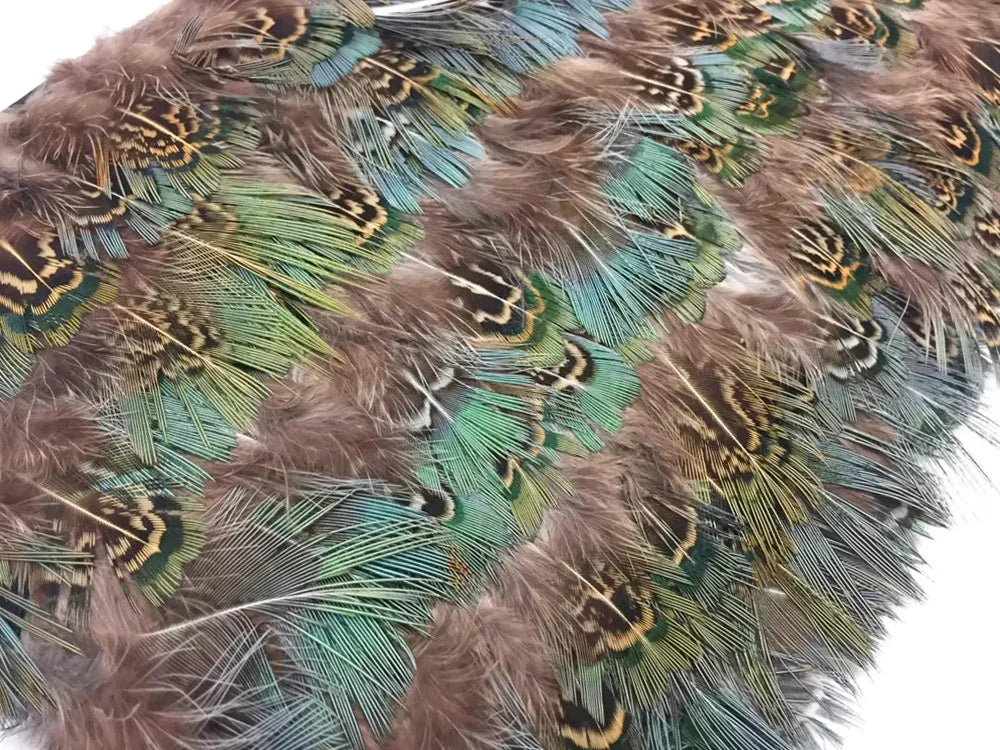 Vibrant peacock feathers with iridescent blue, green, and brown tones for crafts and decor.