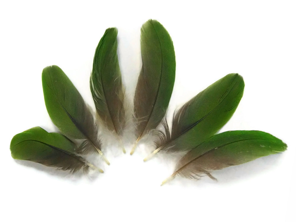 4 Pieces - Mini Natural Green Amazon Parrot Wing Feather