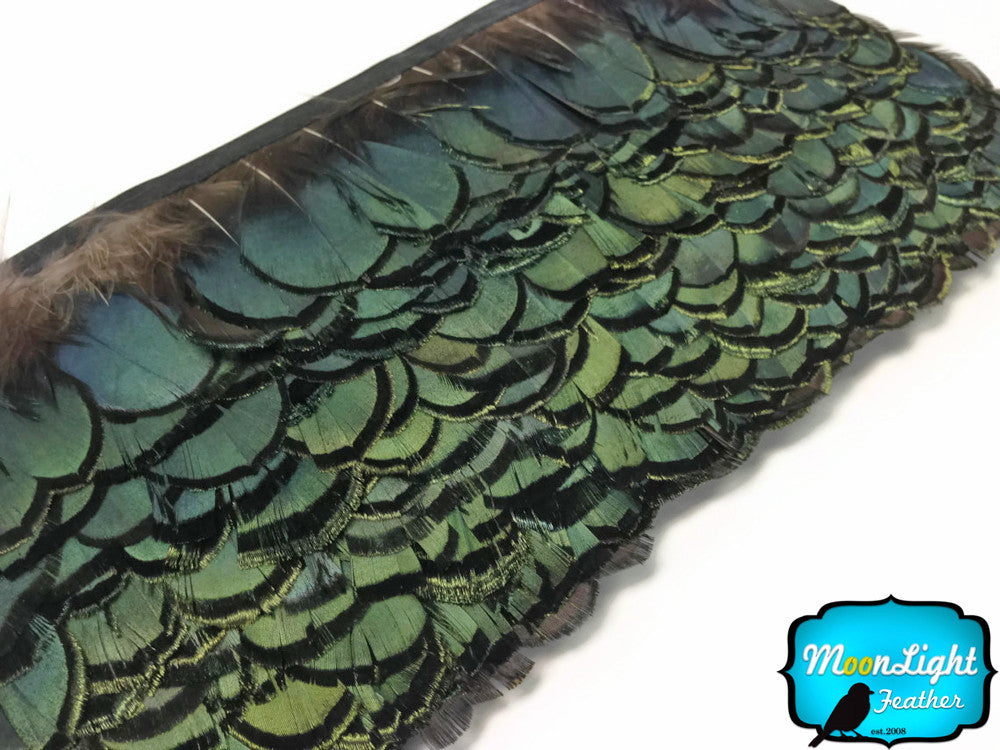 1 Yard - Green Bronze Lady Amherst Pheasant Tippet Feather Trim