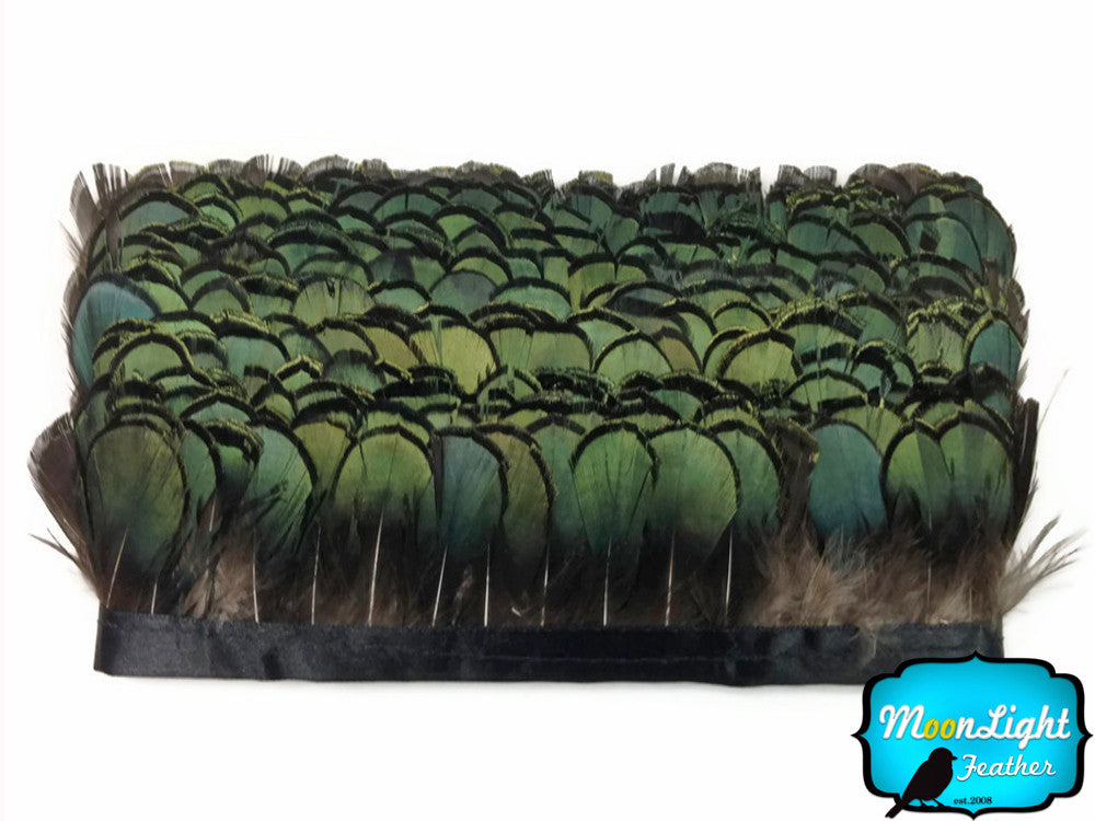 1 Yard - Green Bronze Lady Amherst Pheasant Tippet Feather Trim