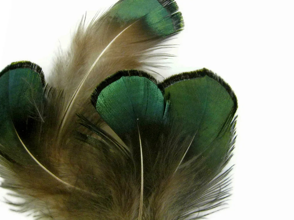 Iridescent green and brown natural feathers for DIY crafts and fashion decor.
