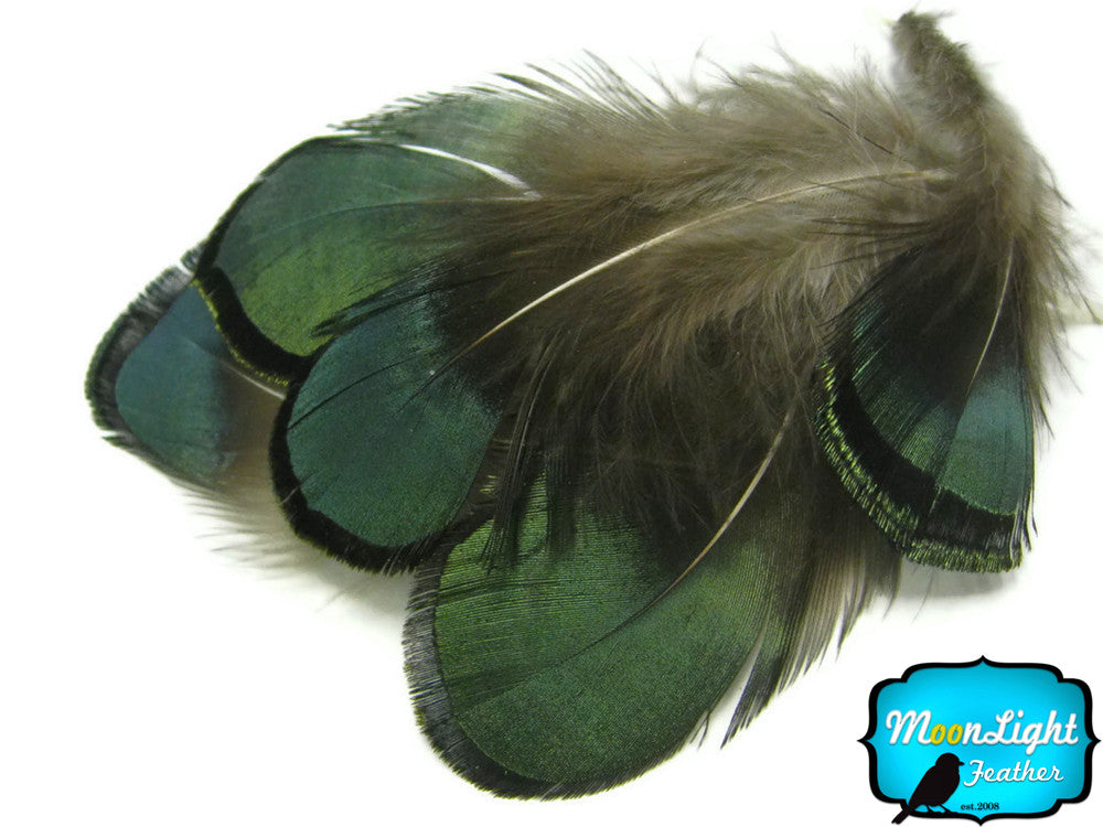 1 Yard - Green Bronze Lady Amherst Pheasant Tippet Feather Trim