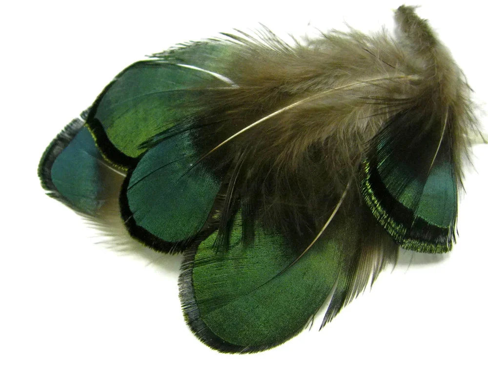 Vibrant iridescent green feathers for craft and fashion DIY projects.