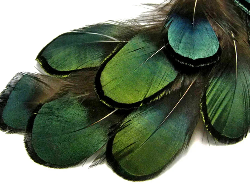 Iridescent green peacock feathers for crafts and fashion decor.
