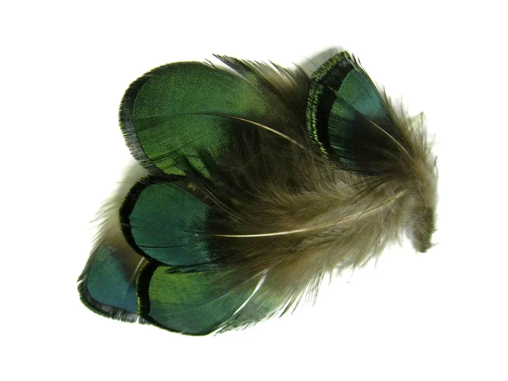 Iridescent green and brown natural feathers for crafts and fashion decor