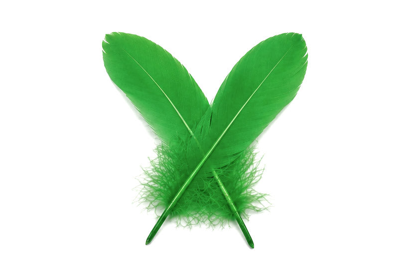 1 Pack - Kelly Green Goose Satinettes Pallet Soft Wing Quill Loose Feathers - 0.3 Oz
