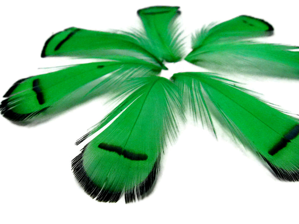 1 Dozen - Dyed Kelly Green Lady Amherst Pheasant Tippet Feathers