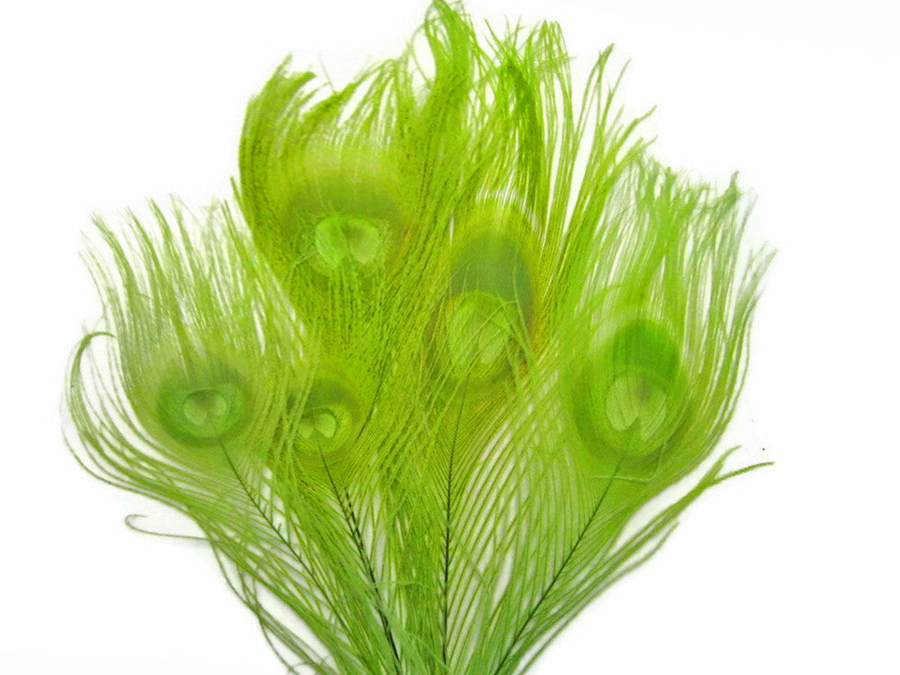 5 Pieces – Lime Green Bleached & Dyed Peacock Tail Eye Feathers 10-12” Long 