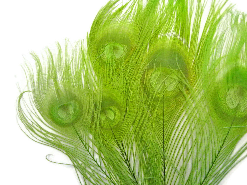 5 Pieces – Lime Green Bleached & Dyed Peacock Tail Eye Feathers 10-12” Long 