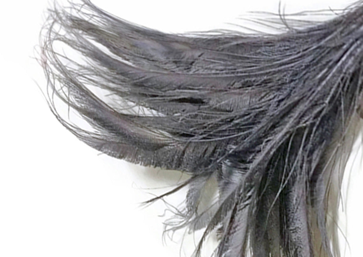 5 Pieces - 10-12" Silver Gray Bleached & Dyed Peacock Swords Cut Feathers