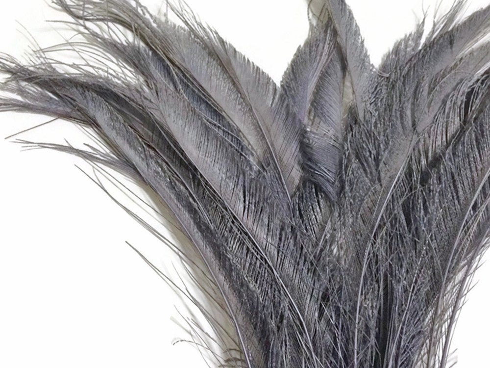 50 Pieces - Silver Grey Bleached Peacock Swords Cut Wholesale Feathers (Bulk)