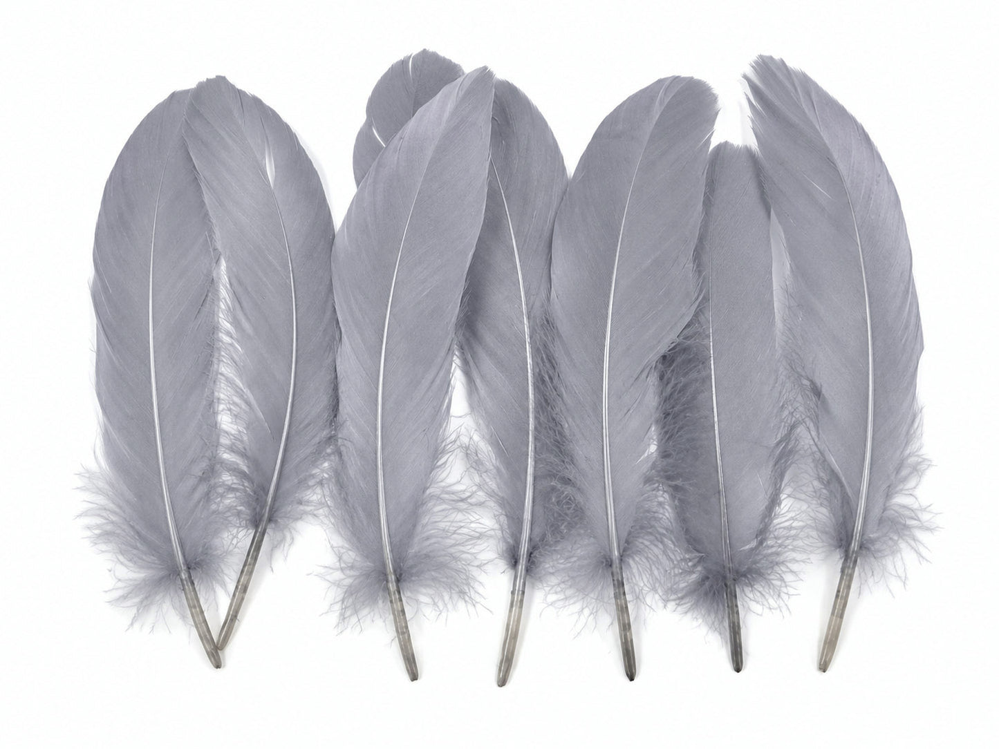 1 Pack - Silver Gray Goose Satinettes Pallet Soft Wing Quill Loose Feathers - 0.3 Oz