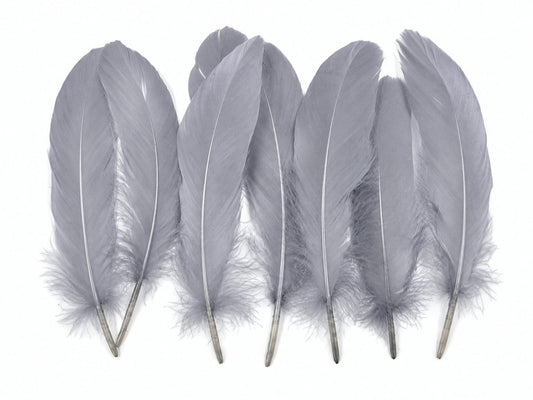 1 Pack - Silver Gray Goose Satinettes Pallet Soft Wing Quill Loose Feathers - 0.3 Oz