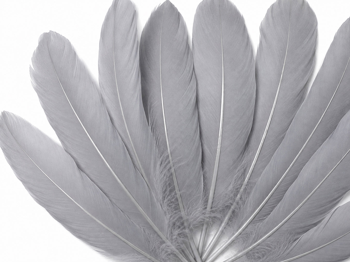 1 Pack - Silver Gray Goose Satinettes Pallet Soft Wing Quill Loose Feathers - 0.3 Oz