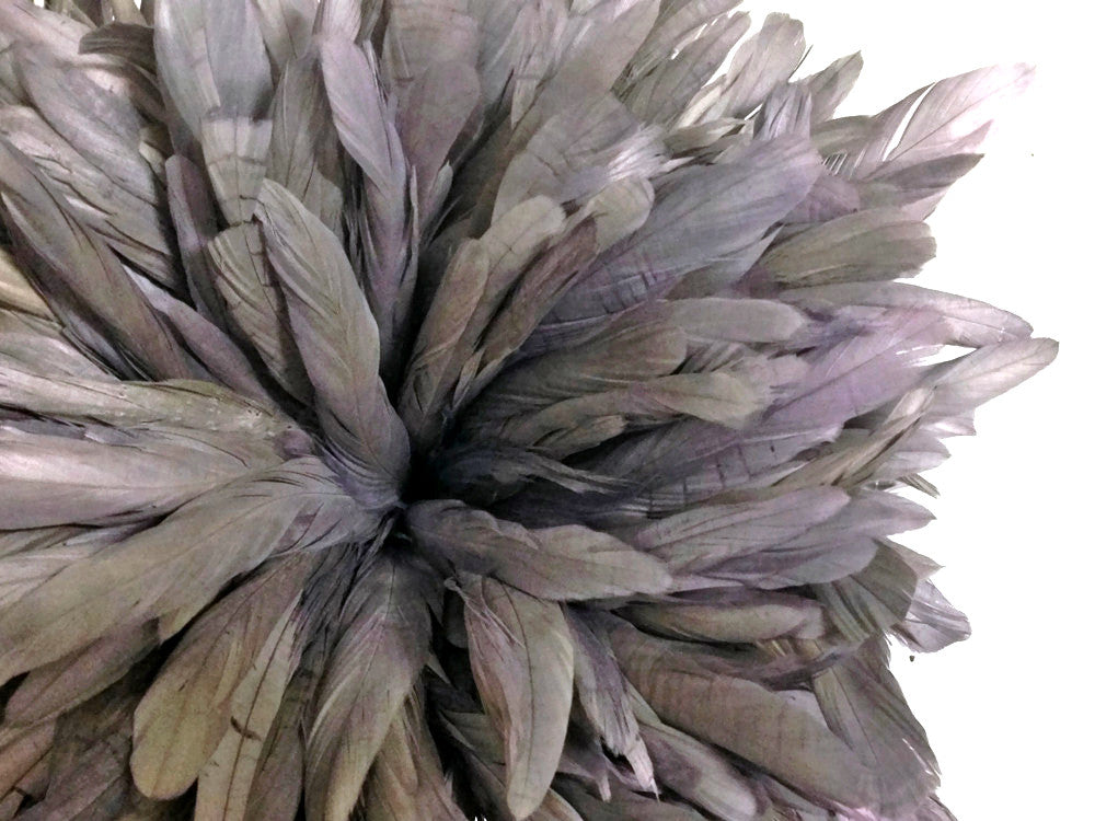 1/2 Yard -  8-10" Silver Gray Strung Natural Bleach & Dyed Rooster Coque Tail Wholesale Feathers (Bulk)