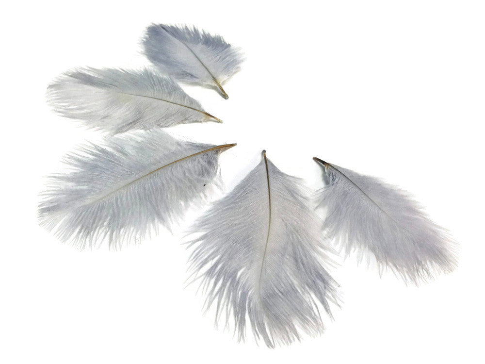 1 Pack - Silver Gray Ostrich Small Confetti Feathers 0.3 Oz