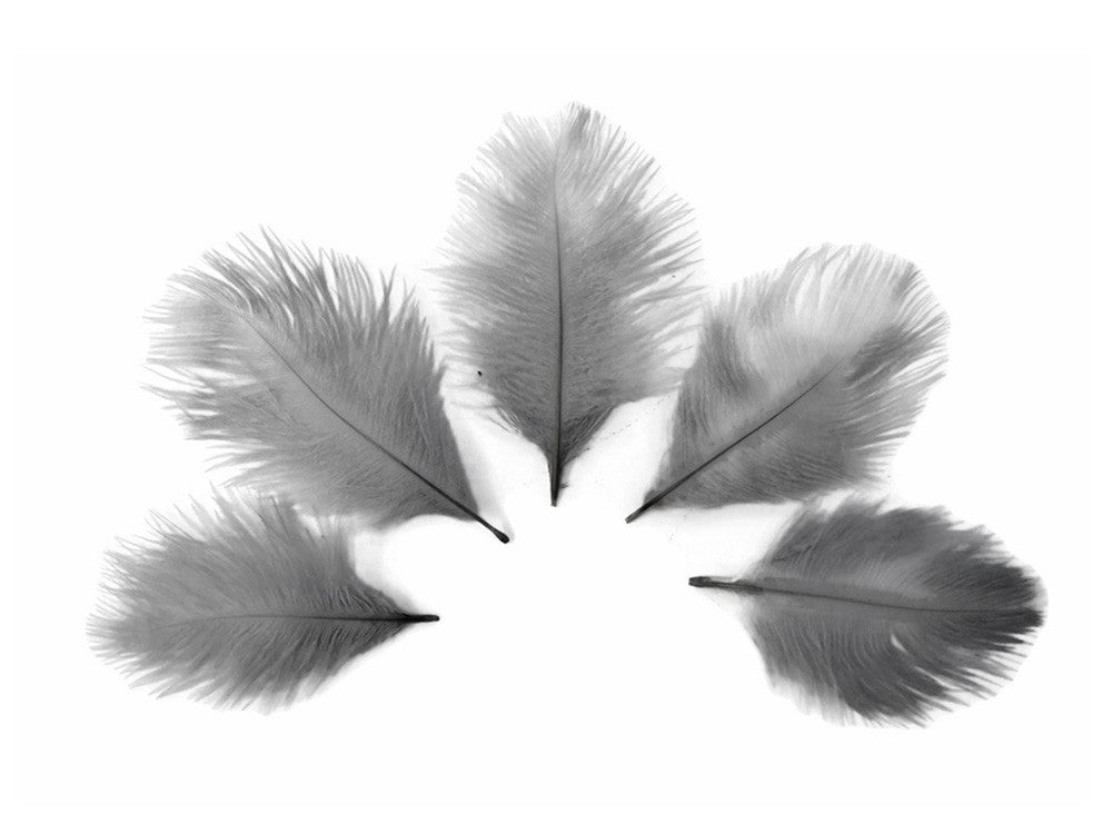 1 Pack - Silver Gray Ostrich Small Confetti Feathers 0.3 Oz