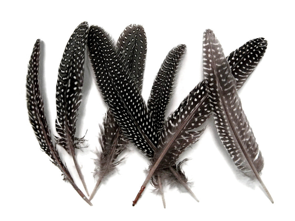 10 Pieces - Natural Black & White Polka Dot Guinea Fowl Wing Quill Feathers