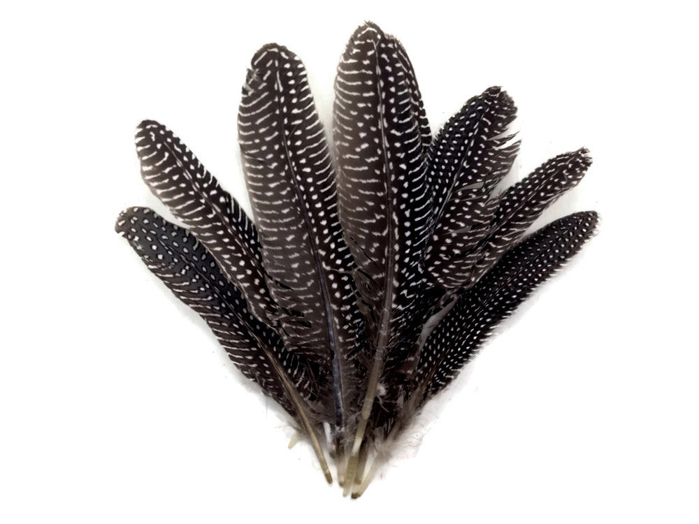 1/8 lb. Natural Black & White Polka Dot Guinea Fowl Wing Quills Wholesale Feathers (Bulk)