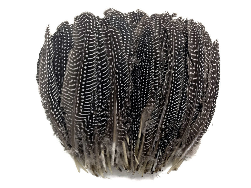 1/8 lb. Natural Black & White Polka Dot Guinea Fowl Wing Quills Wholesale Feathers (Bulk)