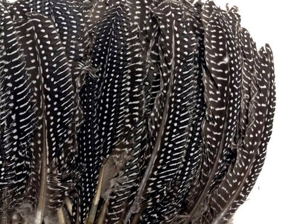 1/8 lb. Natural Black & White Polka Dot Guinea Fowl Wing Quills Wholesale Feathers (Bulk)