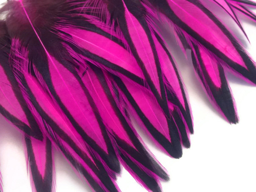 1 Dozen - Hot Pink Whiting Farms BLW Laced Hen Cape Loose Feathers