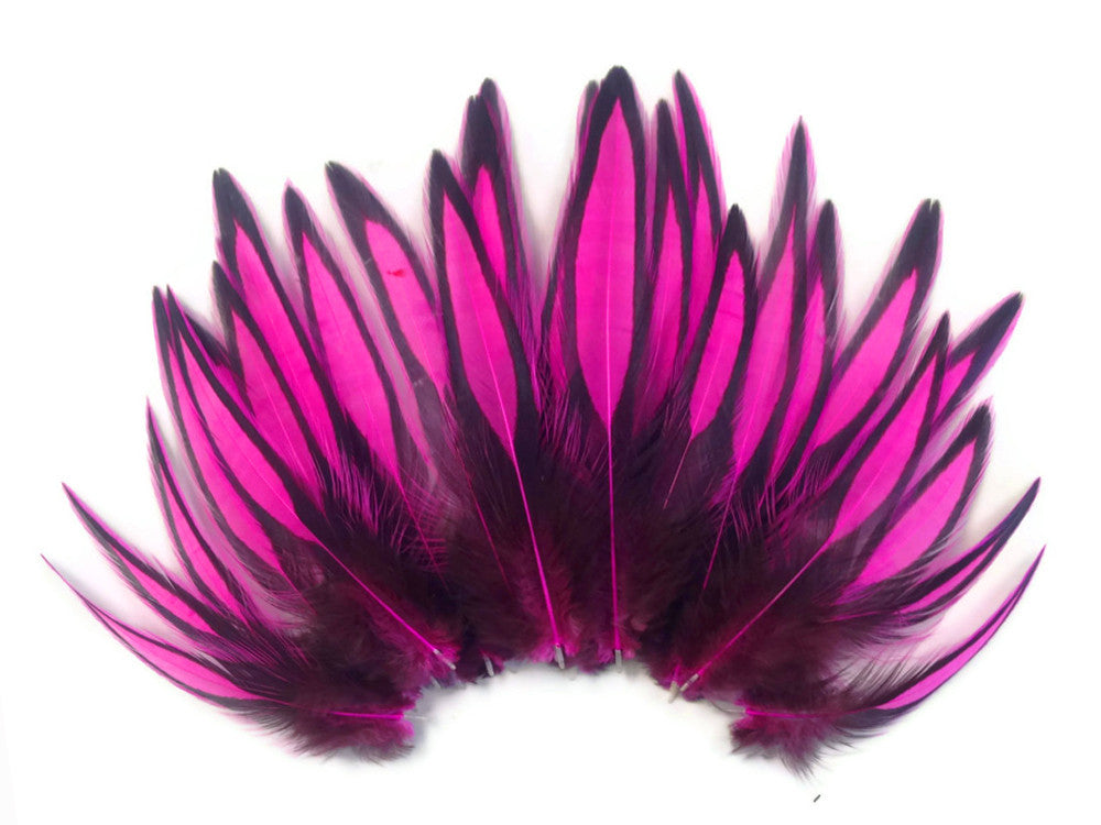 1 Dozen - Hot Pink Whiting Farms BLW Laced Hen Cape Loose Feathers