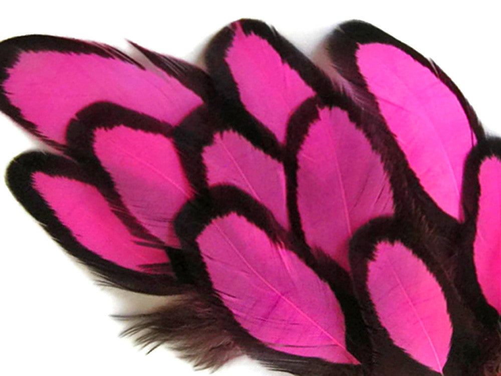 1 Dozen - Hot Pink Whiting Farms Laced Hen Saddle Feathers