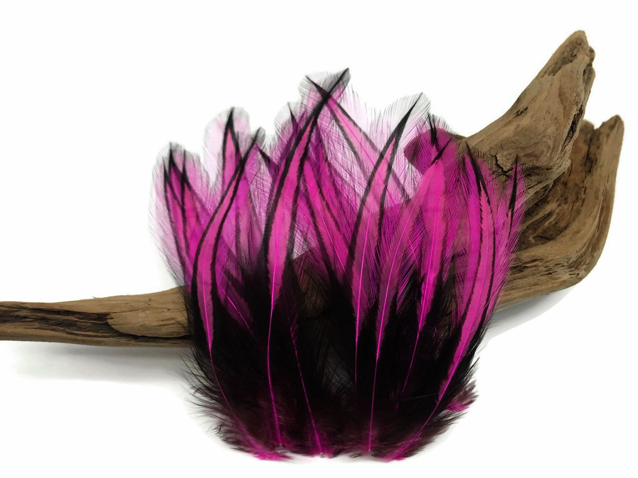 10 Pieces - Hot Pink Dyed BLW Laced Long Rooster Cape Whiting Farms Feathers