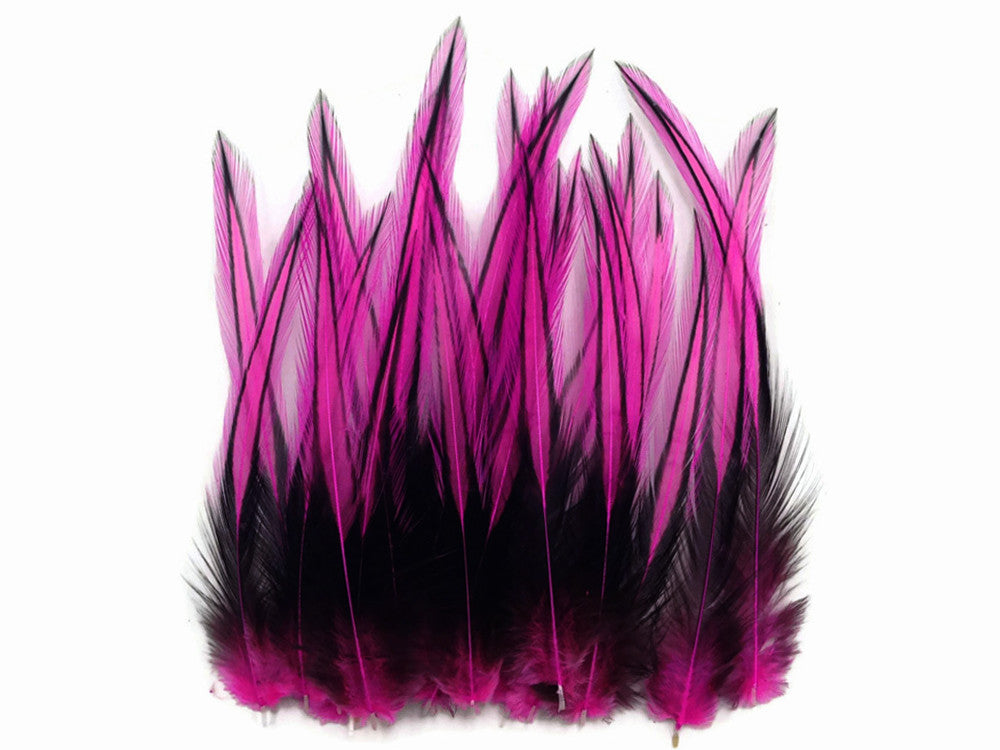 10 Pieces - Hot Pink Dyed BLW Laced Long Rooster Cape Whiting Farms Feathers