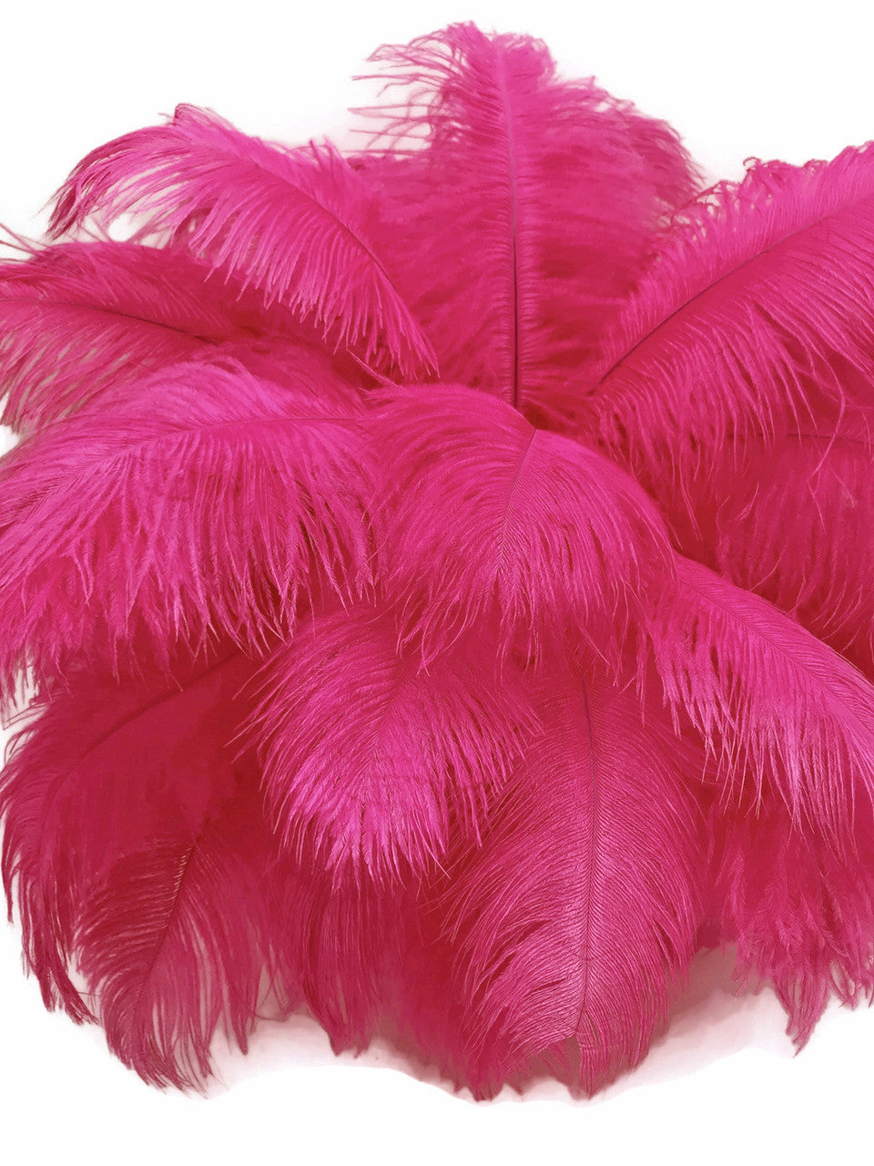 1/2 lb. - 14-17" Hot Pink Ostrich Large Body Drab Wholesale Feathers (Bulk)