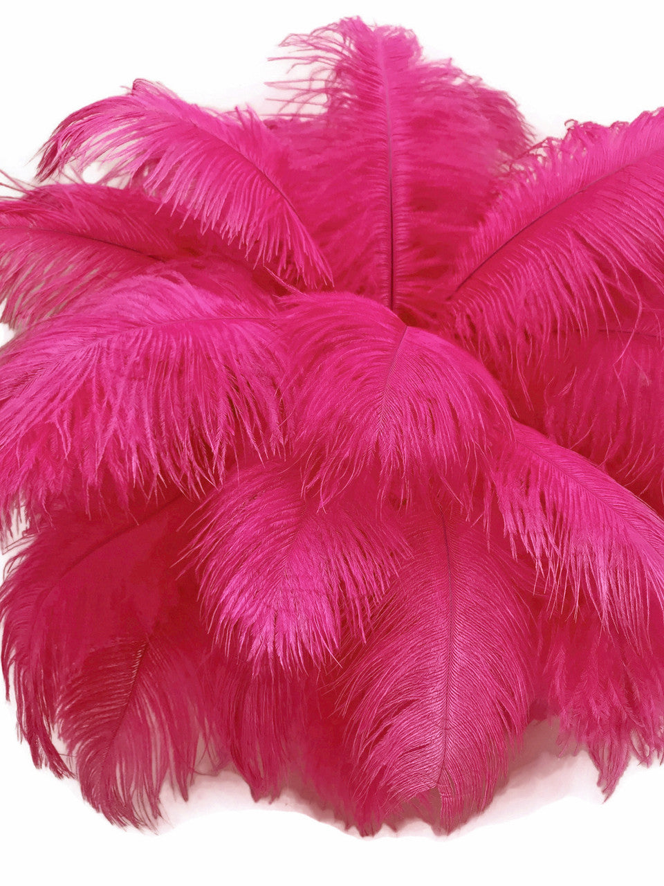 10 Pieces - 17-19" Hot Pink Large Bleached & Dyed Ostrich Drabs Body Feathers